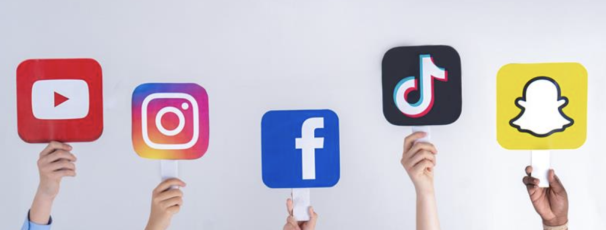 TikTok_crop.png
